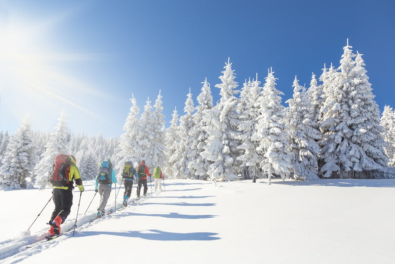 Foto einer Gruppe von Skitourengänger in einem schönen Winterland mit verschneiten Bäumen